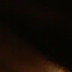 Meet your Posher, Ilgive03